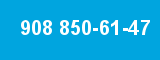 908 850-61-47 908 850-61-47
